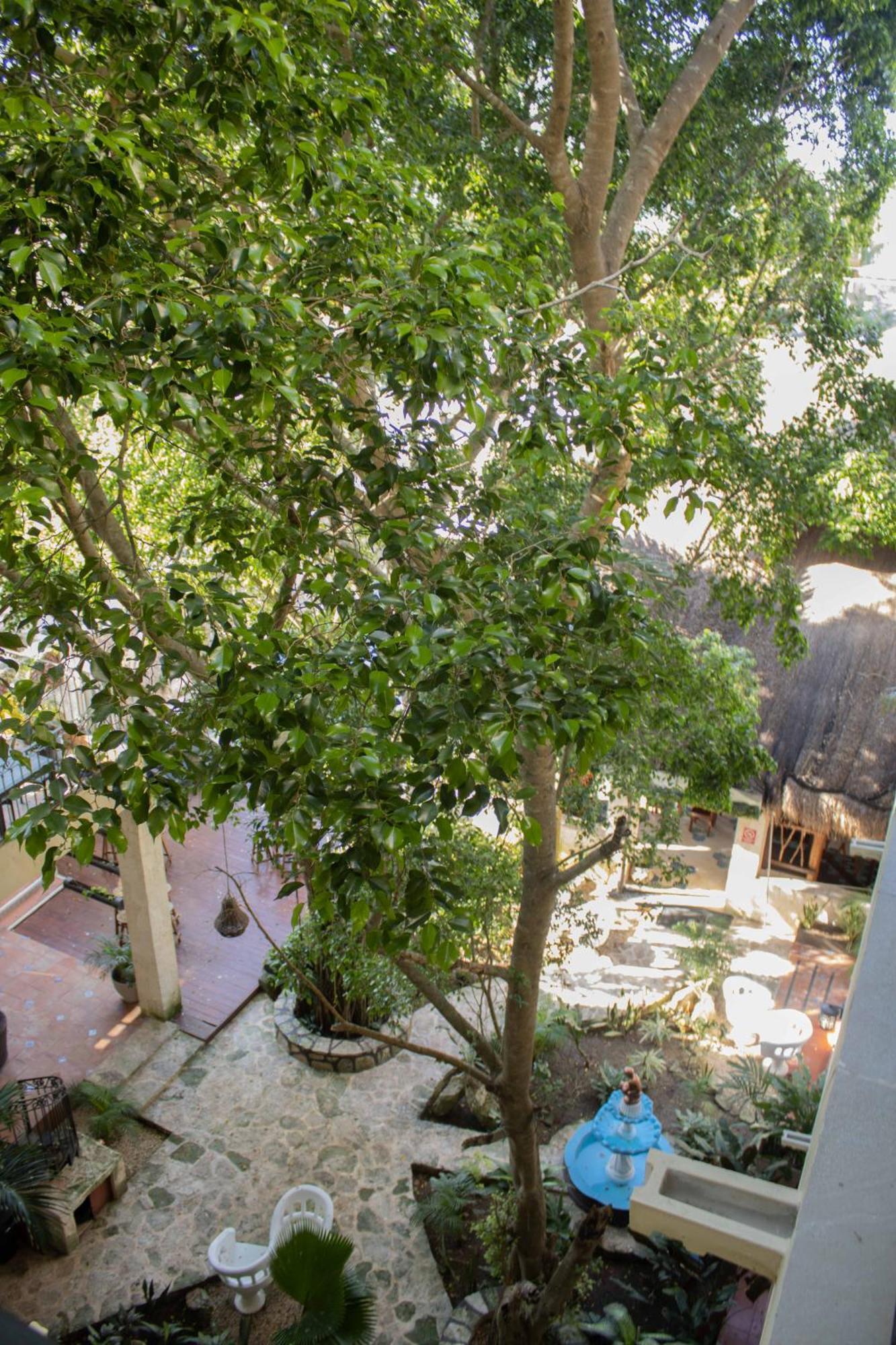 Hotel Nojoch Che Coba Exterior photo